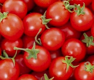Foto com vários tomates-cereja