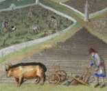 Ruralização da economia: uma das principais características da Alta Idade Média