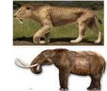 Tigre-de-dentes-de-sabre e mamute: exemplos de animais pré-históricos.