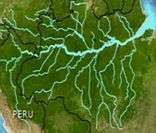 Bacia Amazônica: uma das maiores do mundo
