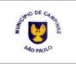 Bandeira da cidade de Campinas
