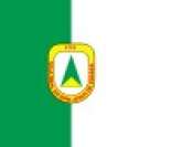 Bandeira da cidade de Cuiabá