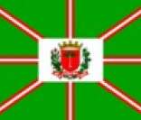 Bandeira da cidade de Curitiba