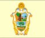 Bandeira da cidade de Manaus
