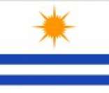 Bandeira da cidade de Palmas