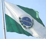 Bandeira do Paraná hasteada