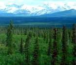 Taiga: bioma presente no Canadá e Alasca.