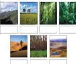 Brasil: diversidade de biomas