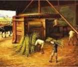 Engenho colonial: principal unidade de produção de açúcar