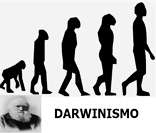 Darwinismo: explicação científica para a origem e evolução das espécies.