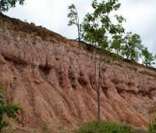 Erosão: uma das causas da degradação do solo