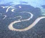 5 de setembro: um dia dedicado à Amazônia
