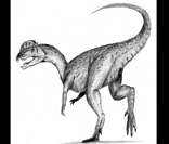 Dilofossauro: o dinossauro de duas cristas (representação artística)