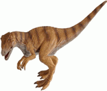 Alossauro: dinossauro carnívoro de grande porte