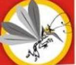 A informação é uma das melhores armas contra a Dengue