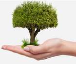 Ecologia Humana: estudando a relação entre seres humanos e meio ambiente