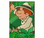 Ecólogo: atuando na preservação do meio ambiente