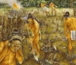 Agricultura: base da economia maia