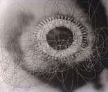 Espiral de Paolo Monti: exemplo de obra do Espacialismo