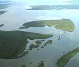 Estação Ecológica de Guaraqueçaba: localizada no litoral Norte do Paraná