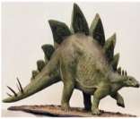Estegossauro: placas dorsais para controlar temperatura