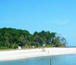 Ilha de Marajó: destaque para as belezas naturais