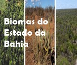 Mata Atlântica, Caatinga e Cerrado são os três biomas do estado da Bahia.