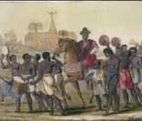 Testes sobre o Reino de Benin