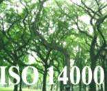ISO 14000: normas para a gestão ambiental nas empresas