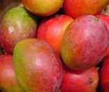 Manga: fruta típica de países tropicais