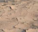 Desertificação: consequência das mudanças climáticas