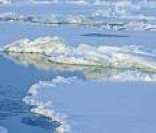 Glacial Ártico: o oceano mais setentrional do nosso planeta