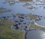 Área inundada do Pantanal (foto aérea).