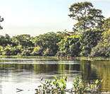 Pantanal: bioma presente na região ocidental do Centro-Oeste brasileiro
