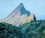 Pico da Neblina: o ponto mais alto do Brasil com 2.993,78 metros