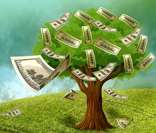 PIV: convergência entre desenvolvimento econômico e meio ambiente