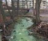 Córrego afetado por poluente químico