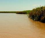 Rio Amazonas: principal rio do estado