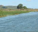 Rio São Miguel: um dos principais rios do estado de Alagoas