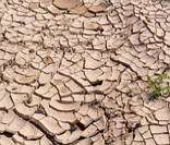 Seca: consequências negativas para os seres humanos e meio ambiente