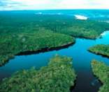 Parque Nacional da Amazônia (exemplo de unidade de conservação)