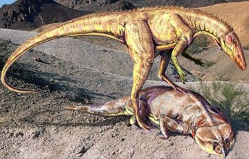 Estauricossauro Ilustração de um Estauricossauro sobre um Rincossauro