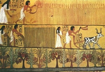 Trabalho no Egito Antigo Pintura de um camponês egípcio arando a terra