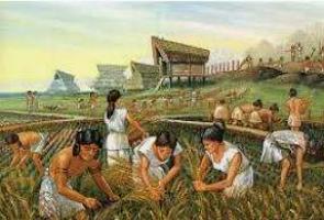 Camponeses trabalhando na agricultura na Antiga Mesopotâmia