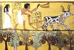 Arado usado na agricultura do Egito Antigo