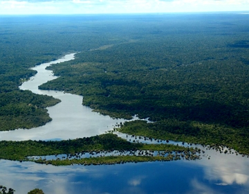Plan&iacute;cie do Rio Amazonas