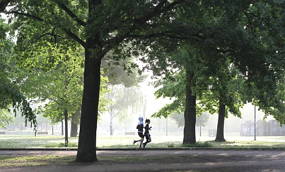 Duas pessoas correndo numa área verde