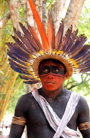 Foto de um indígena brasileiro com um cocar de penas coloridas e com pintura no corpo.