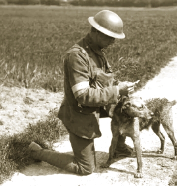Soldados com cão usado na Primeira Guerra Mundial Soldados com cão usado na Primeira Guerra Mundial