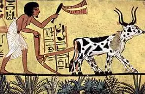 Pintura de um camponês egípcio arando a terra